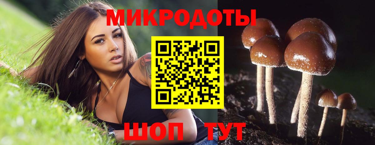 Выборг  Галлюциногенные грибы мицелий  где купить наркоту  Вход с VPN 