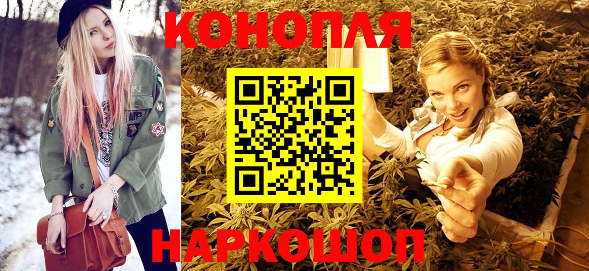 Выборг  МАРИХУАНА планчик  Каннабис сатива  Вход с VPN  Конопля планчик 